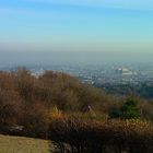 Blick nach Wien ...