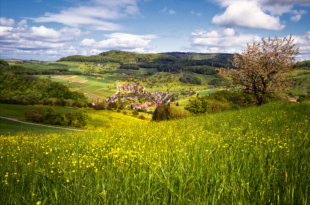 Blick nach Wintersingen