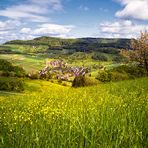 Blick nach Wintersingen