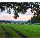 Blick nahe bei Altenburg nach Südosten