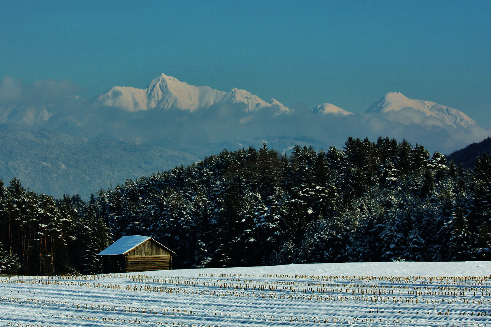 Blick Reither Spitze Seefeld