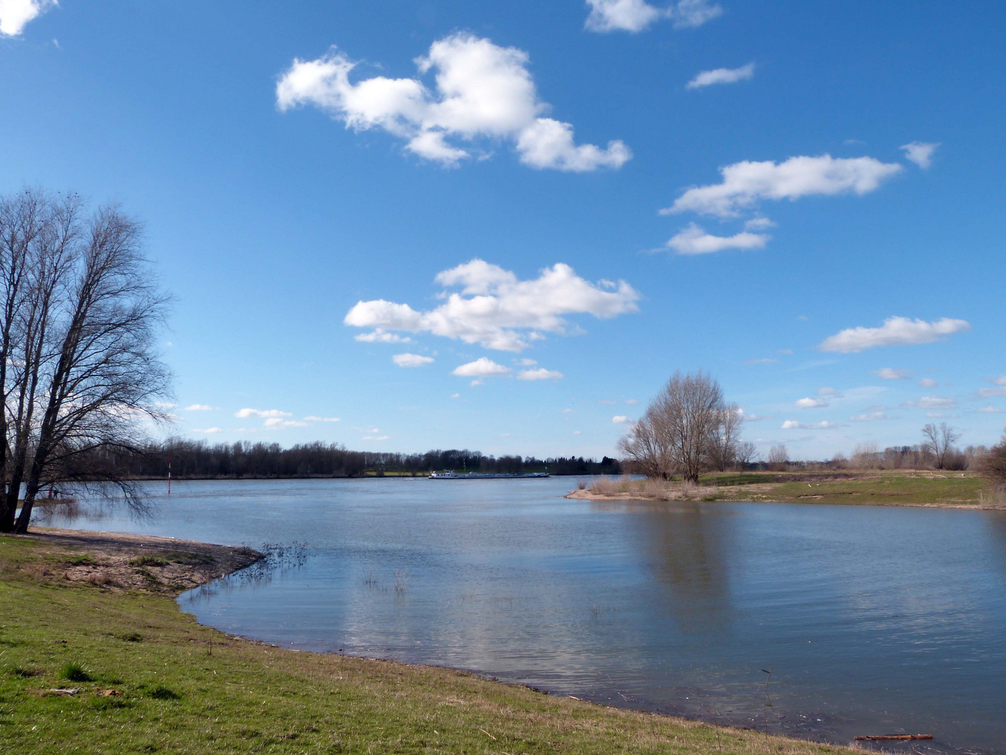 Blick rheinaufwärts