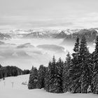 Blick Richtung Alpen