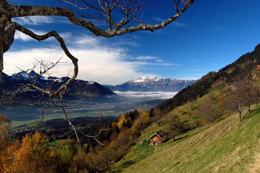 Blick Richtung Alpstein II