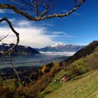 Blick Richtung Alpstein II