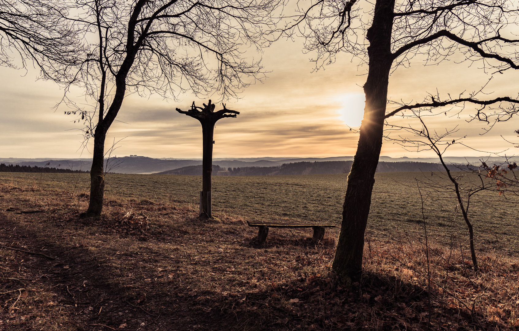 Blick Richtung Augustusburg