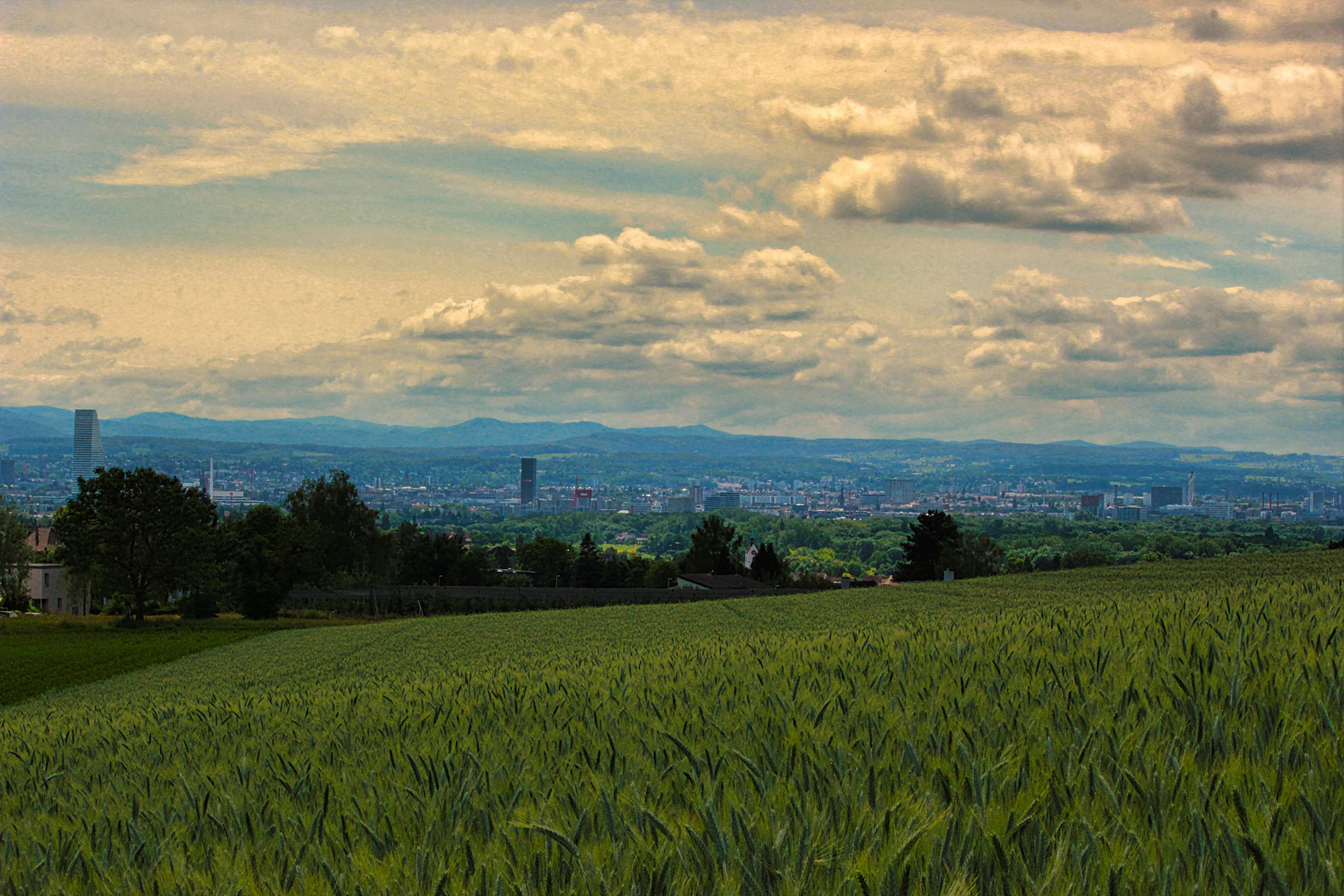 Blick Richtung Basel