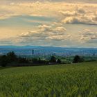 Blick Richtung Basel