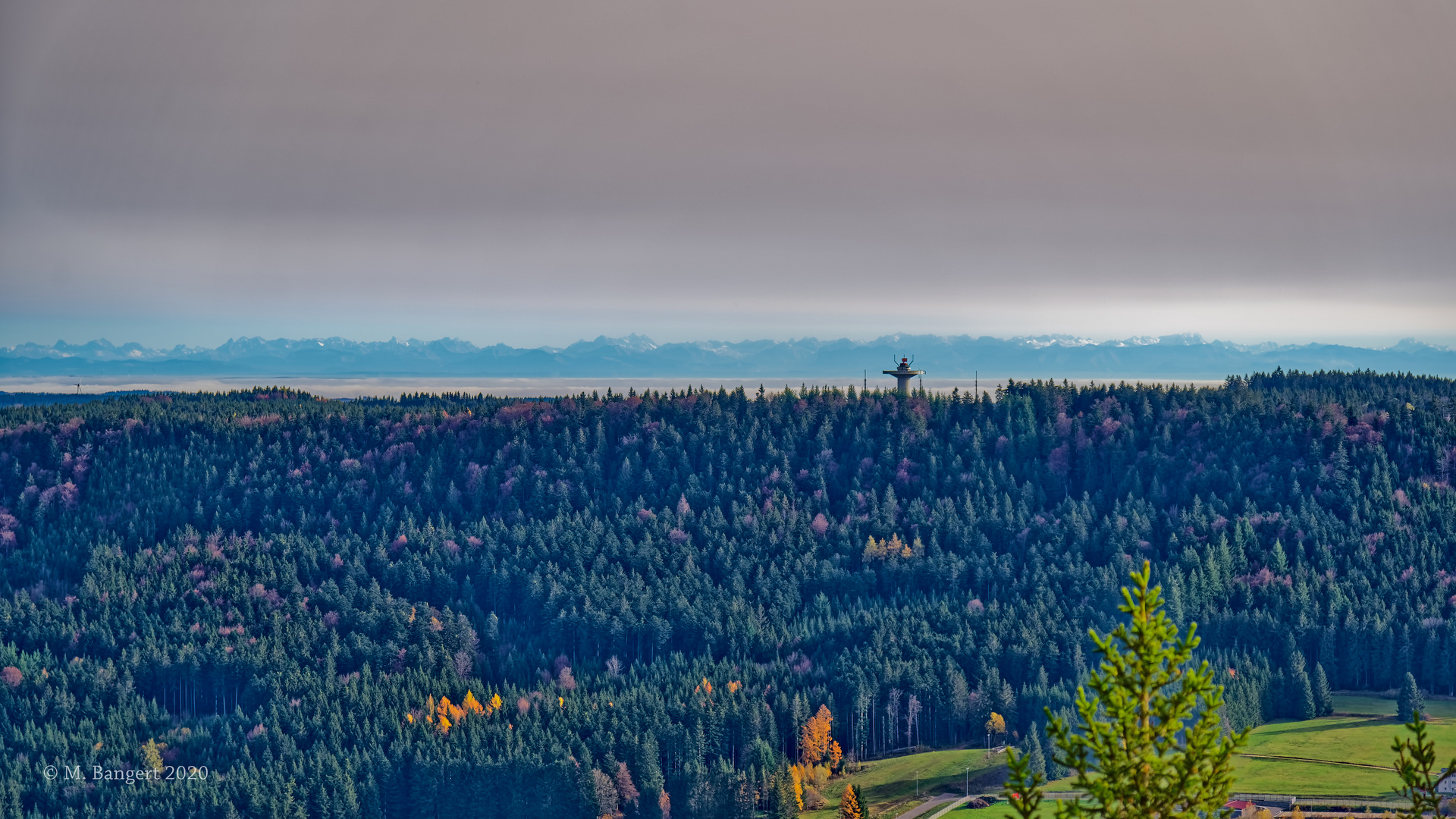 Blick Richtung Bodensee vom Lemberg aus