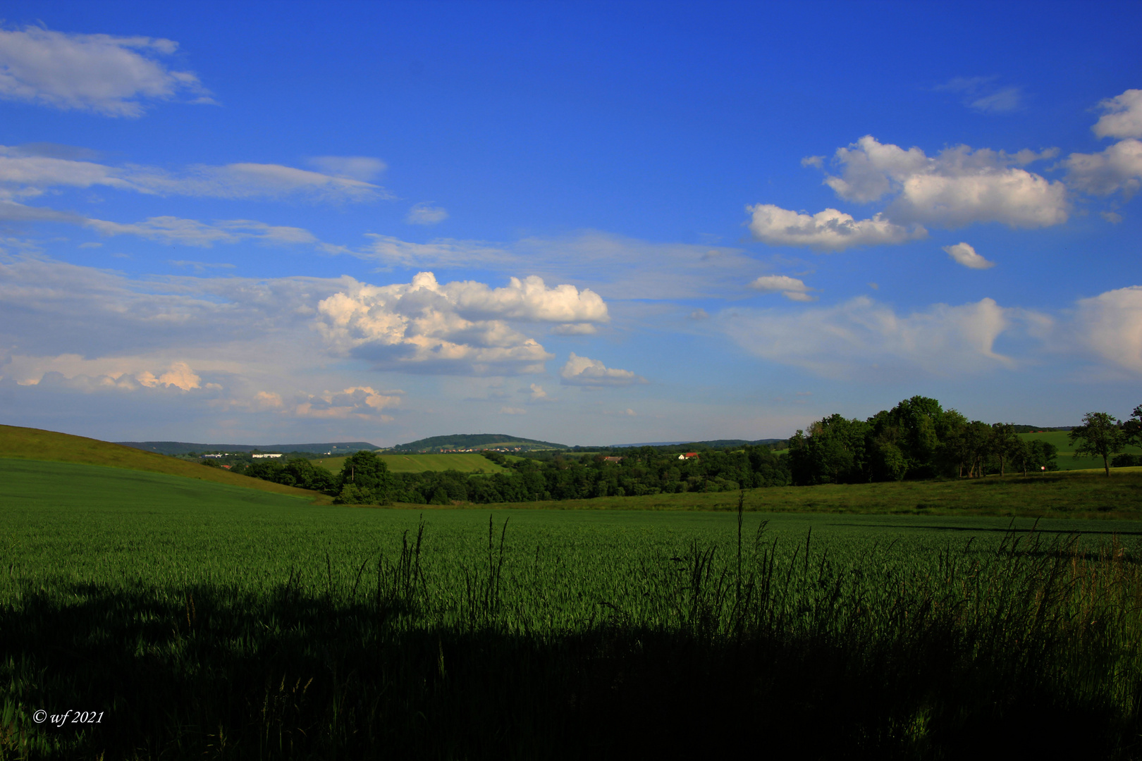 Blick Richtung Cunnersdorf