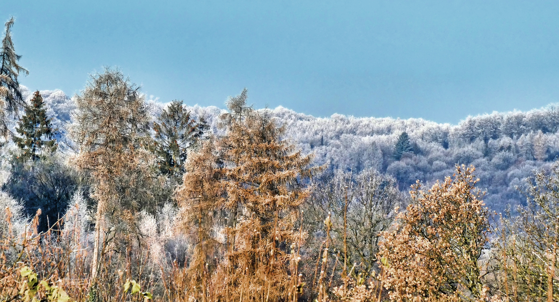 Blick Richtung Ehrenberg - Wuppertal