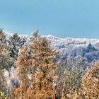 Blick Richtung Ehrenberg - Wuppertal