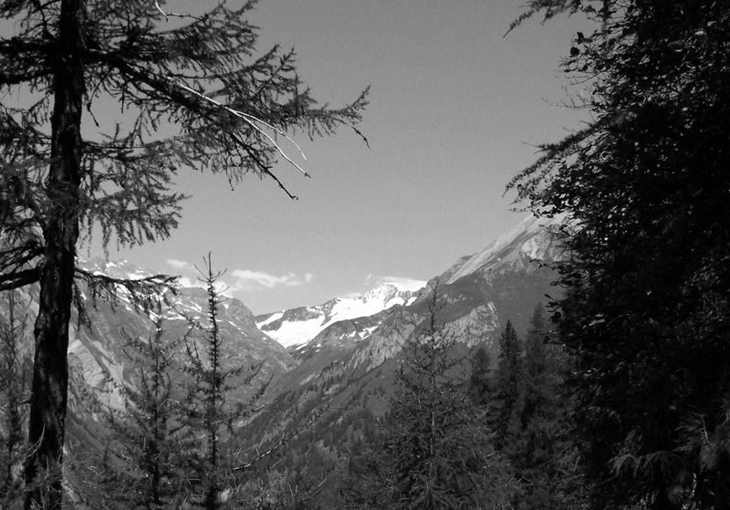 Blick Richtung Großvenediger