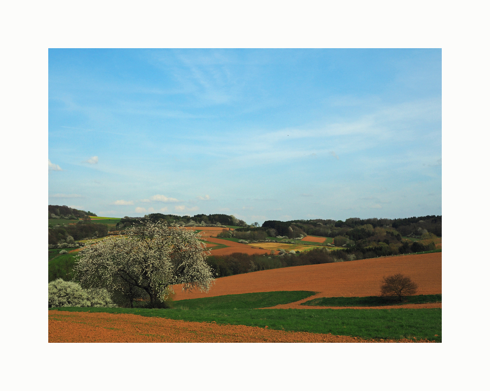 Blick Richtung Hoxberg