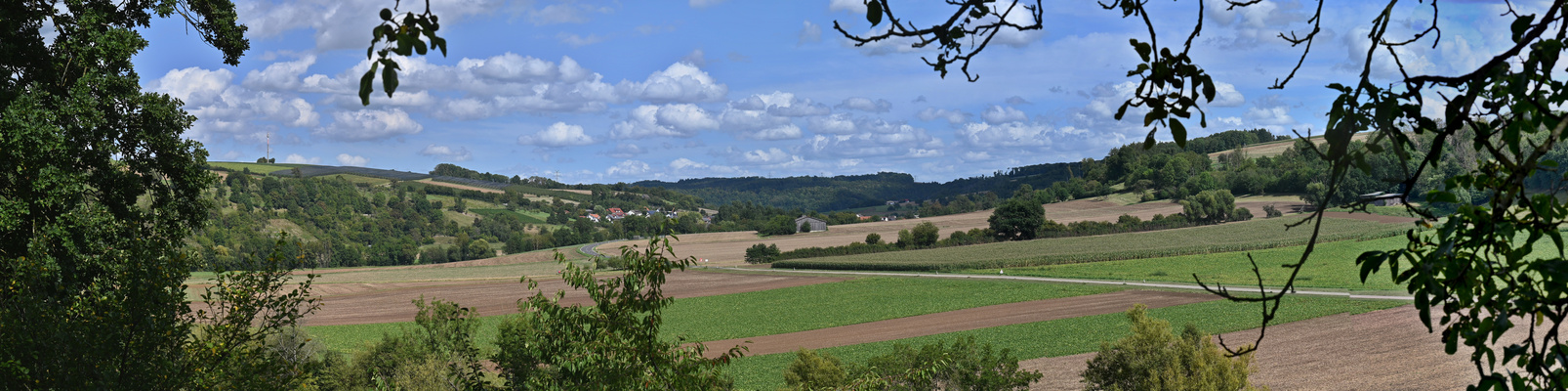 Blick Richtung Kochertal aufwärts