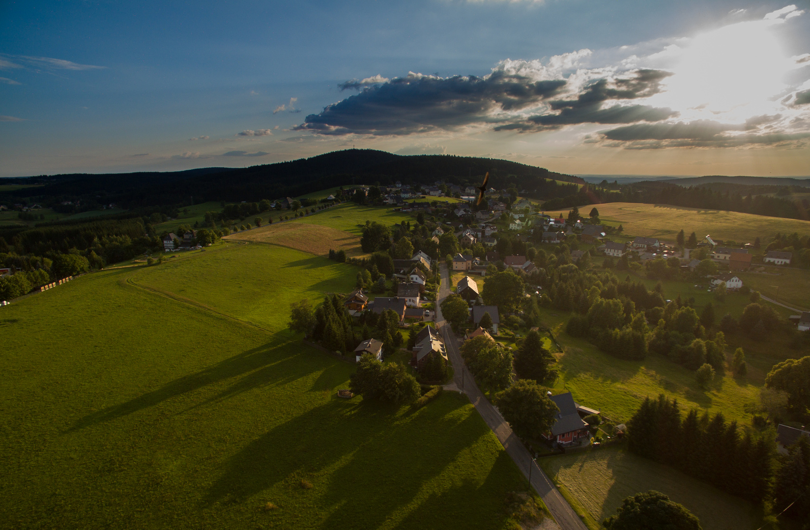 Blick Richtung Kuhberg in Stützengrün