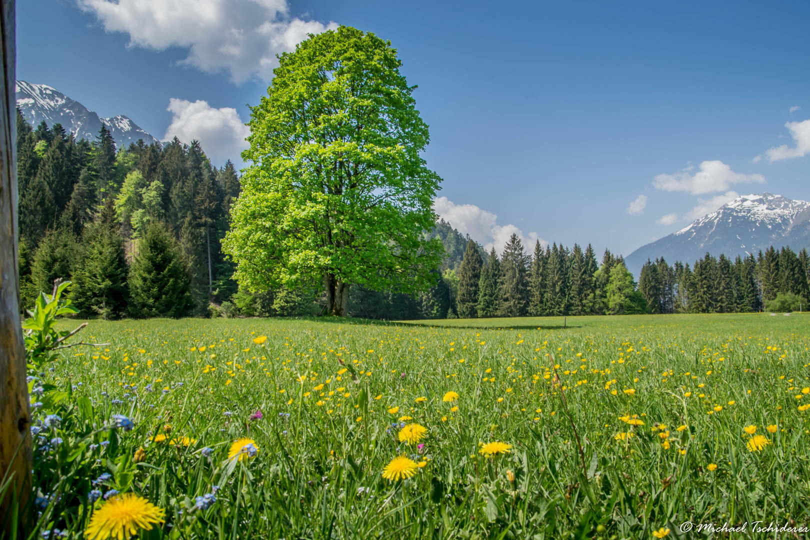 Blick Richtung Lechtal 