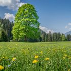 Blick Richtung Lechtal 