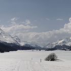 Blick Richtung Maloja im April 2009 oder Annemarie, siehst Du es auch?