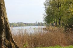 Blick richtung Nikolaikirche, über dem Heiligen See.