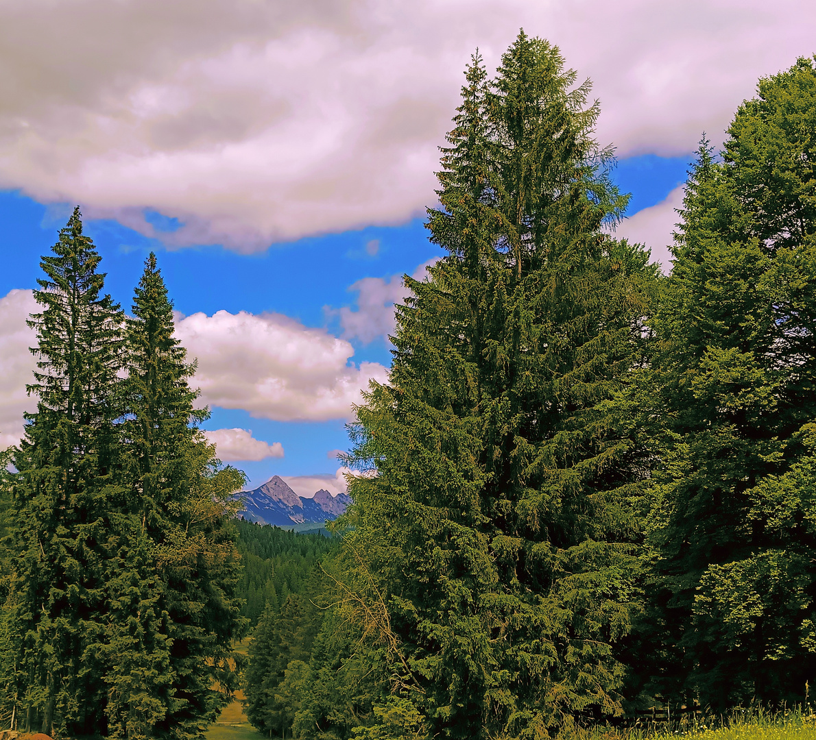 Blick Richtung Seefeld