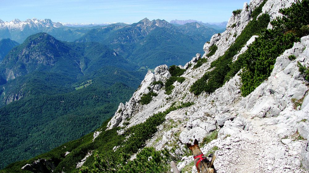 Blick Richtung Sonntagshorn