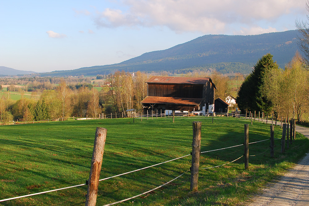 Blick Richtung Steinbühl