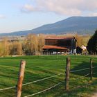 Blick Richtung Steinbühl