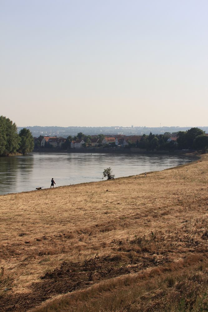 Blick Richtung Uebigau