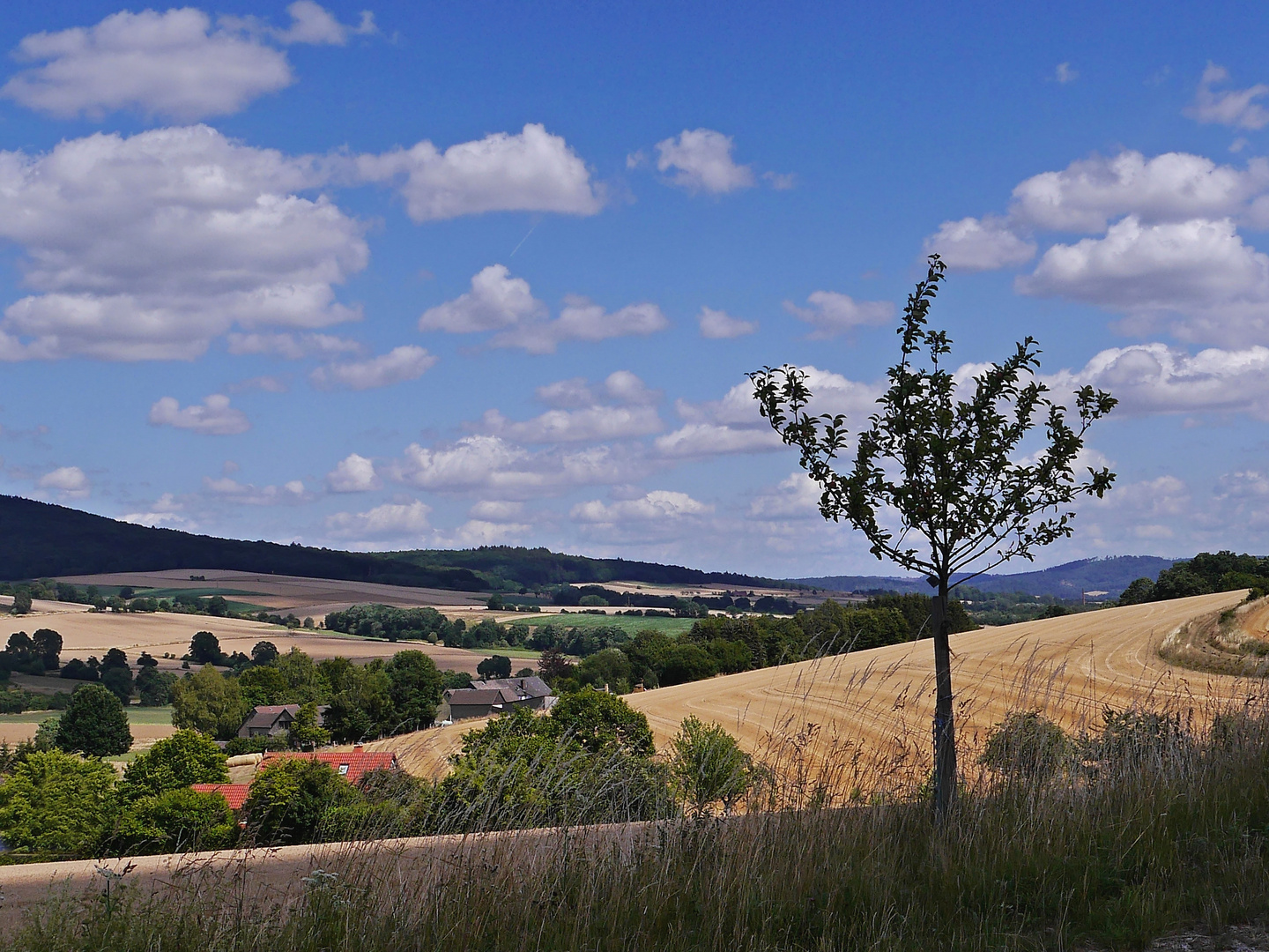 Blick Richtung Uslar