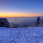 Blick Richtung Waldkirch (Kandel)