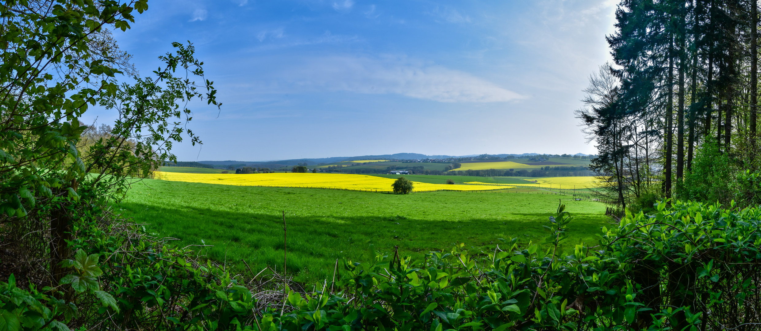 Blick Richtung Warstein