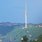 Blick 'rüber nach Wachwitz