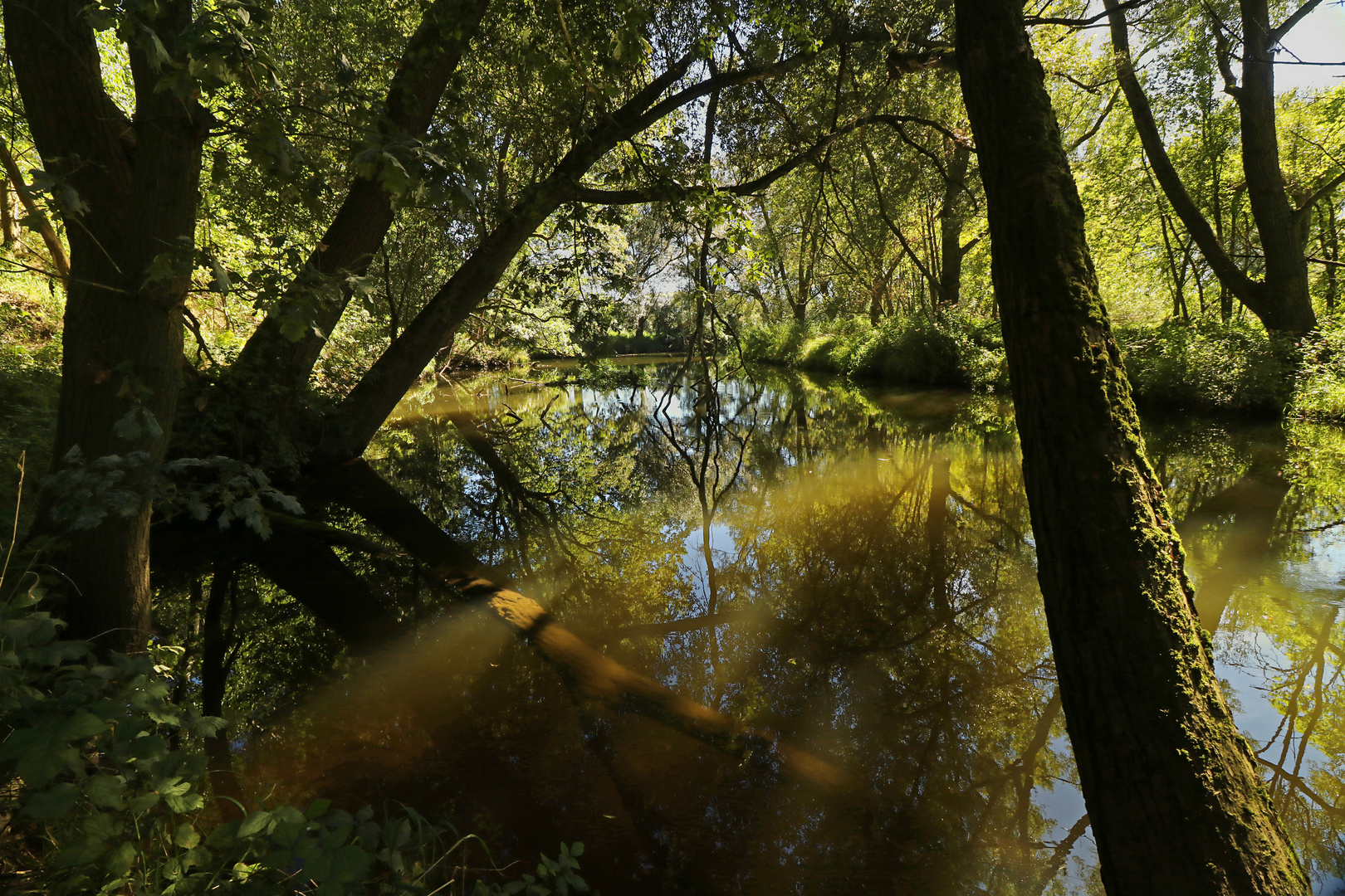 Blick stromauf