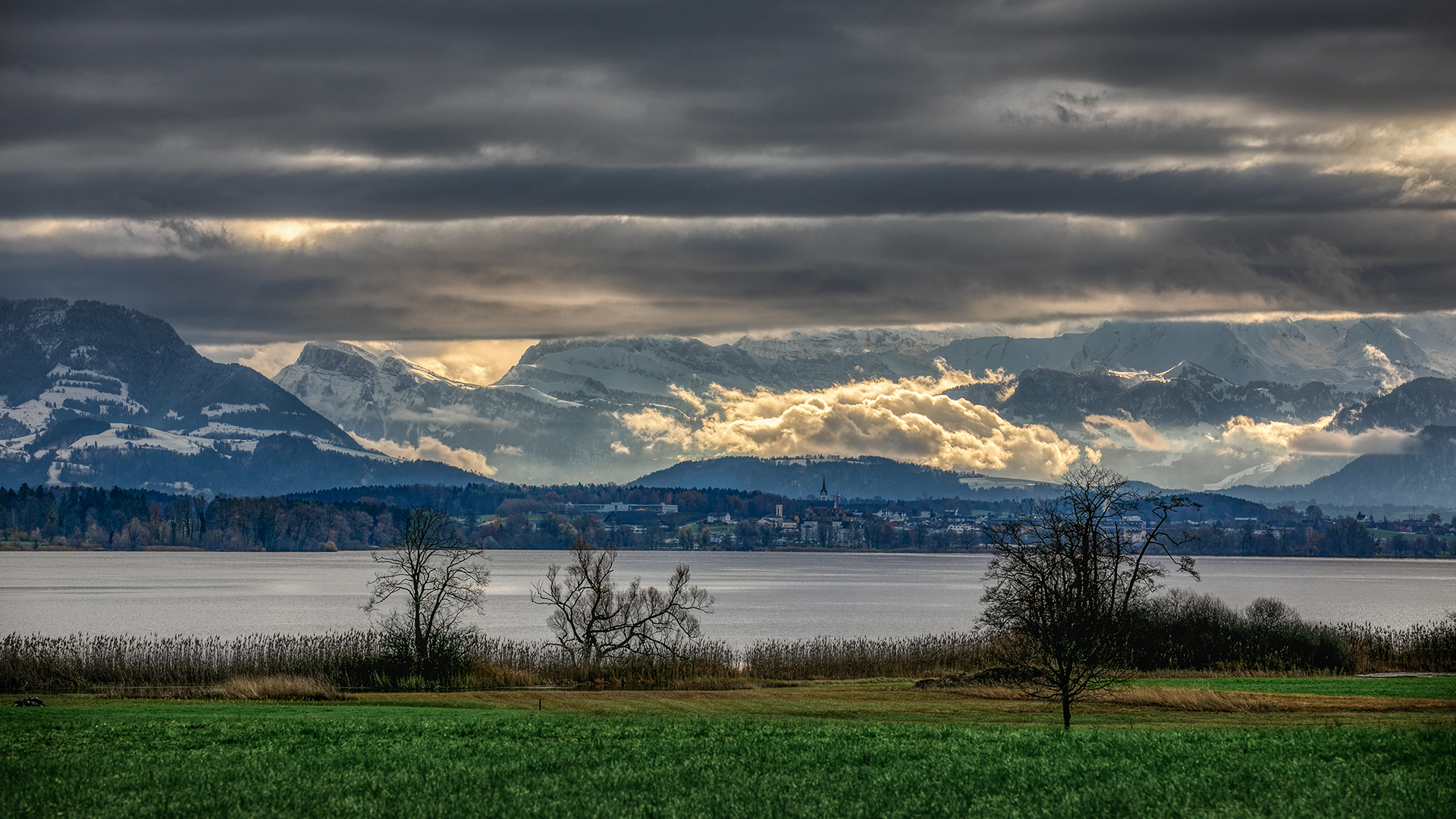 Blick u?ber den Baldeggersee