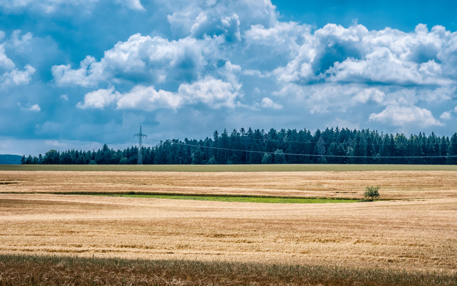 Blick über abgeerntete Felder