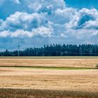 Blick über abgeerntete Felder