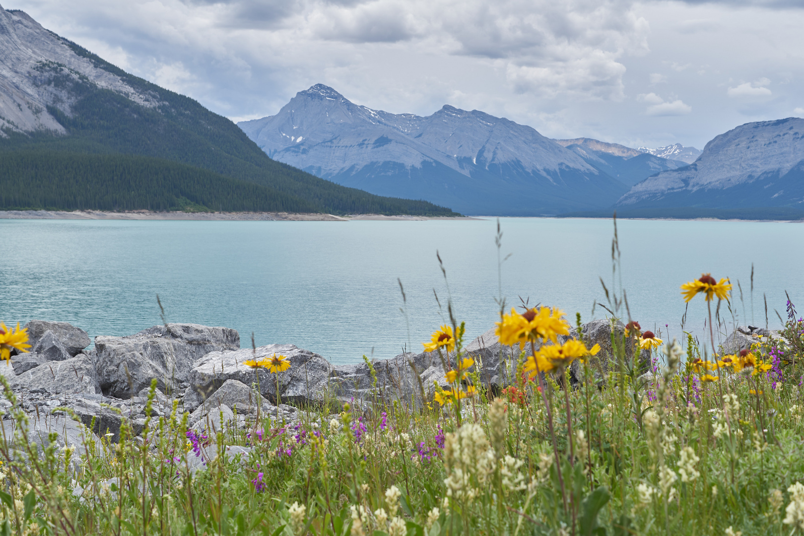 Blick über Abraham Lake.