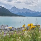 Blick über Abraham Lake.