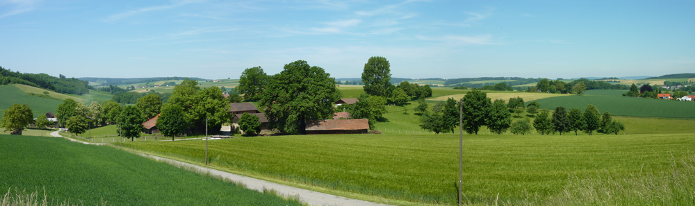 Blick über Allertsöd