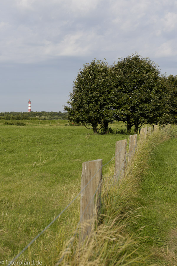 Blick über Amrum