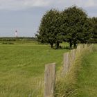 Blick über Amrum