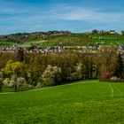 Blick über Bad Schallerbach auf die Magdalenabergkirche: