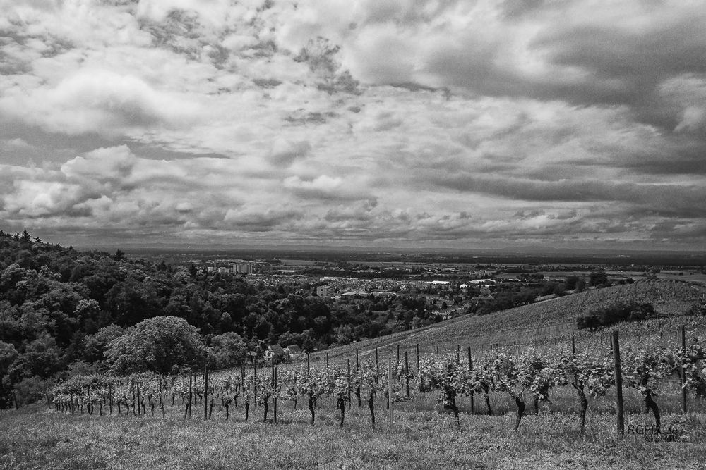 Blick über Bensheim