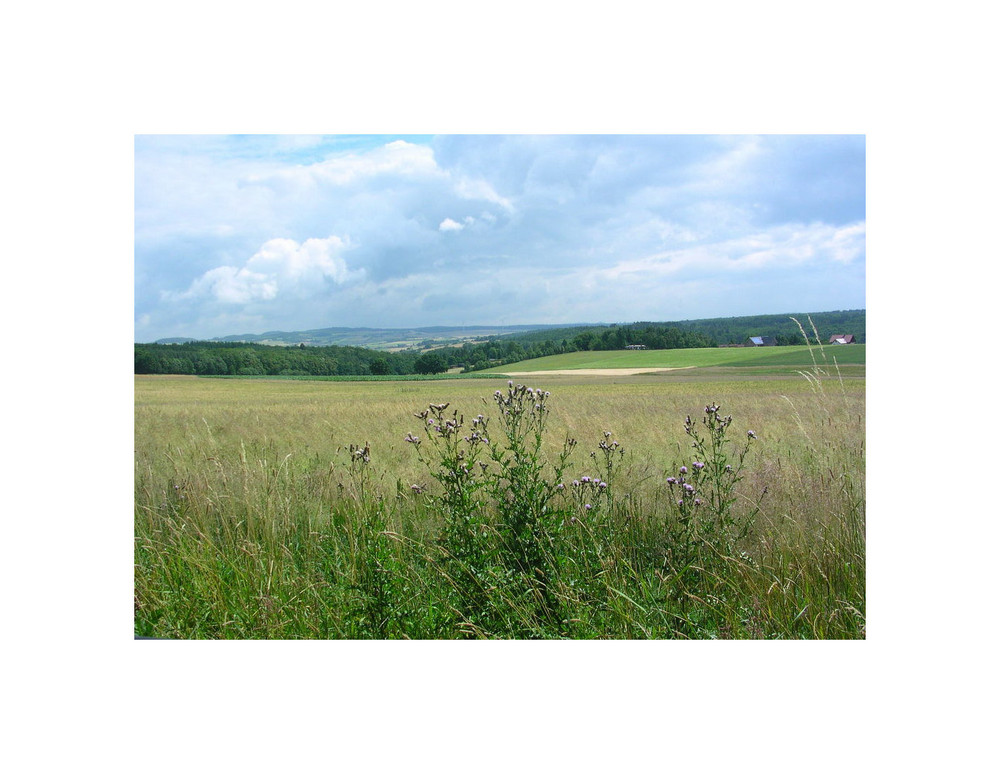 Blick über Bergkuppen hinweg