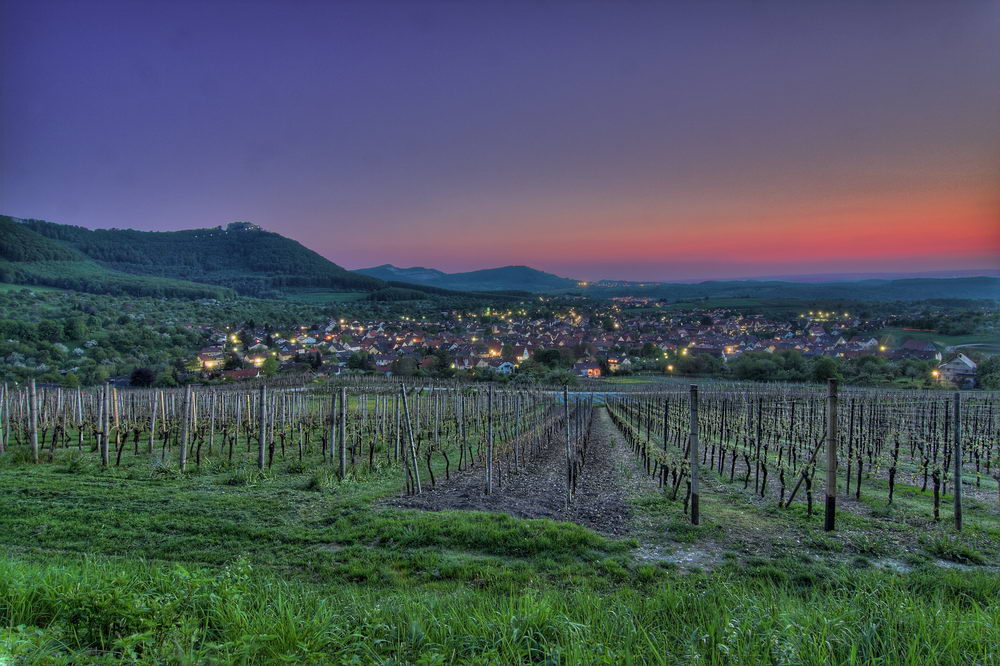 *Blick über Beuren