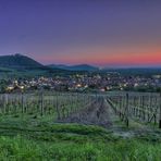 *Blick über Beuren