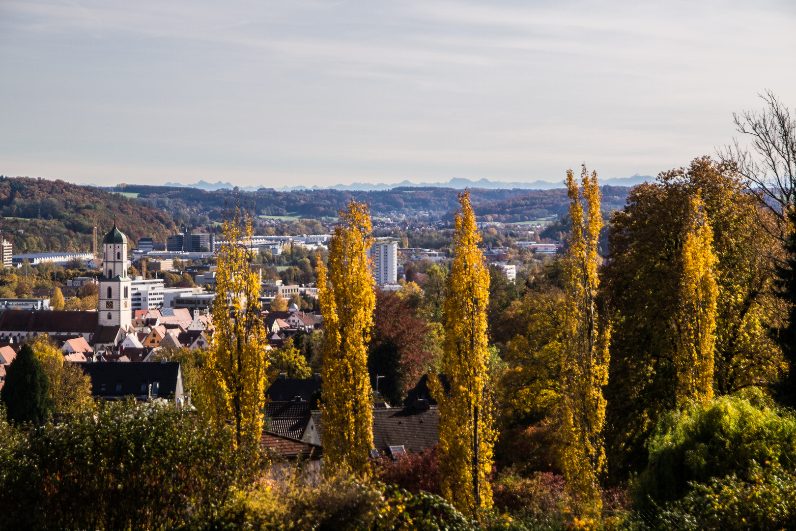 Blick über Biberach in die schweizer Alpen