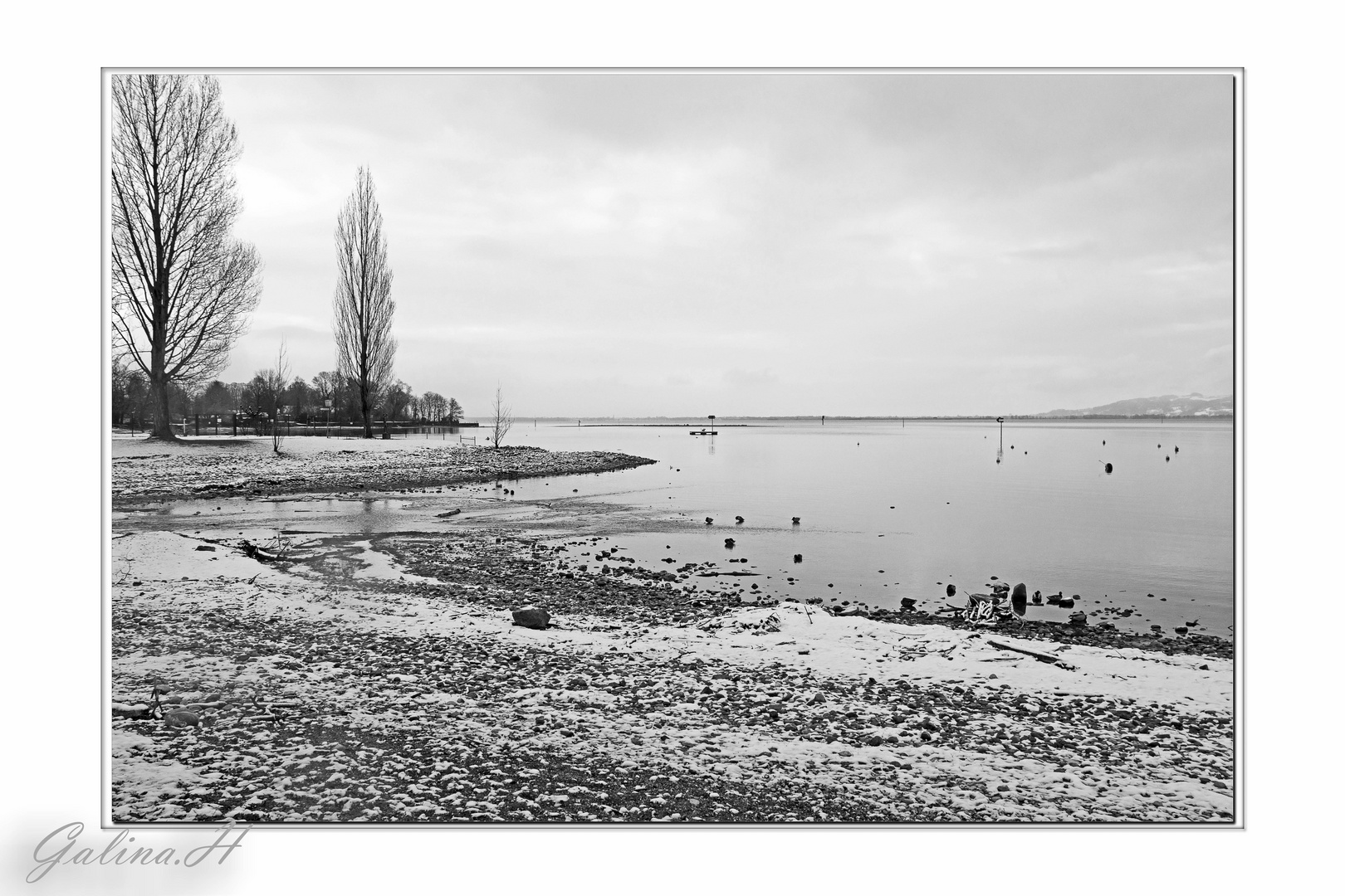 Blick über Bodensee