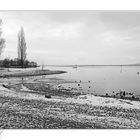 Blick über Bodensee